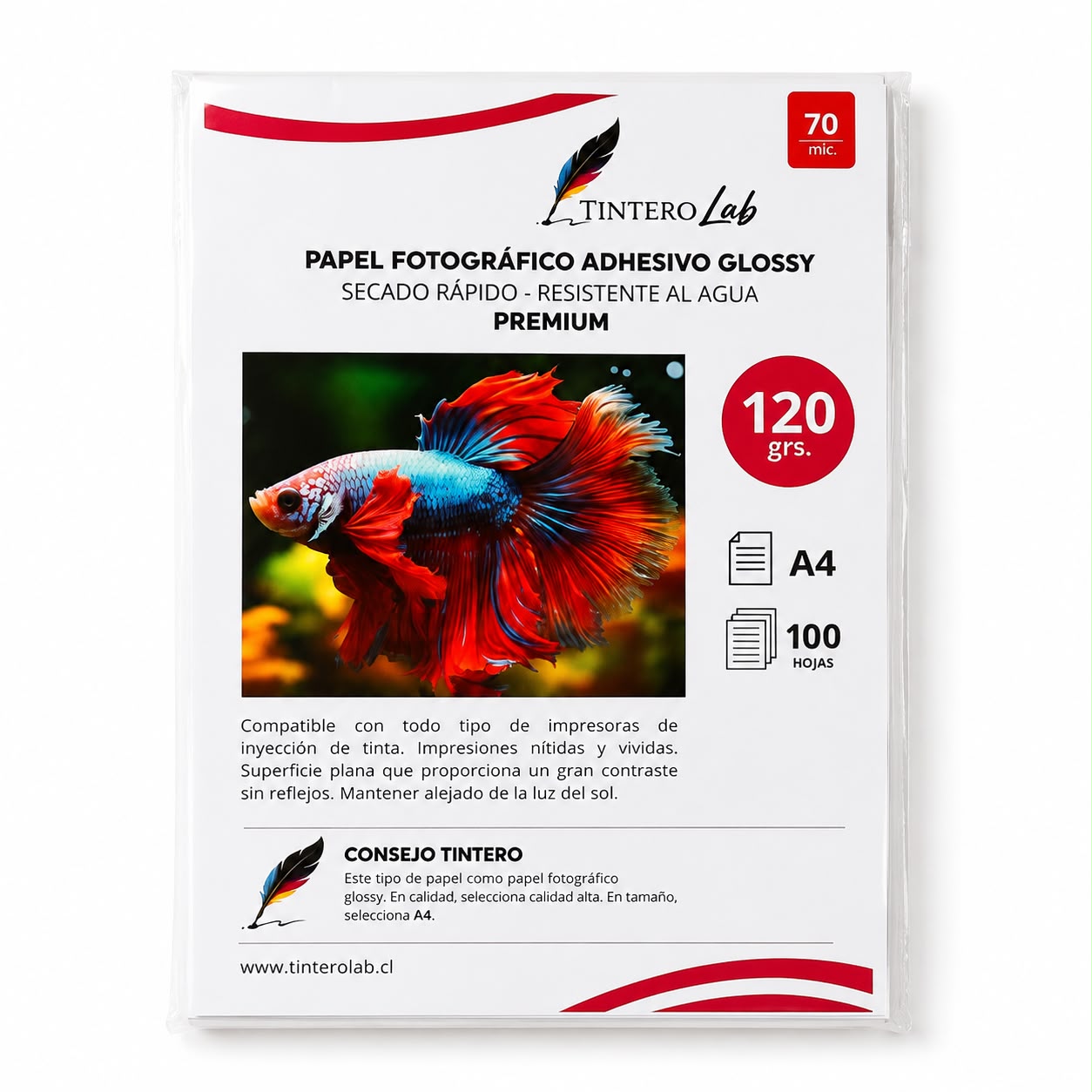 Fotográfico Adhesivo Glossy 120grs. (A4/100h)